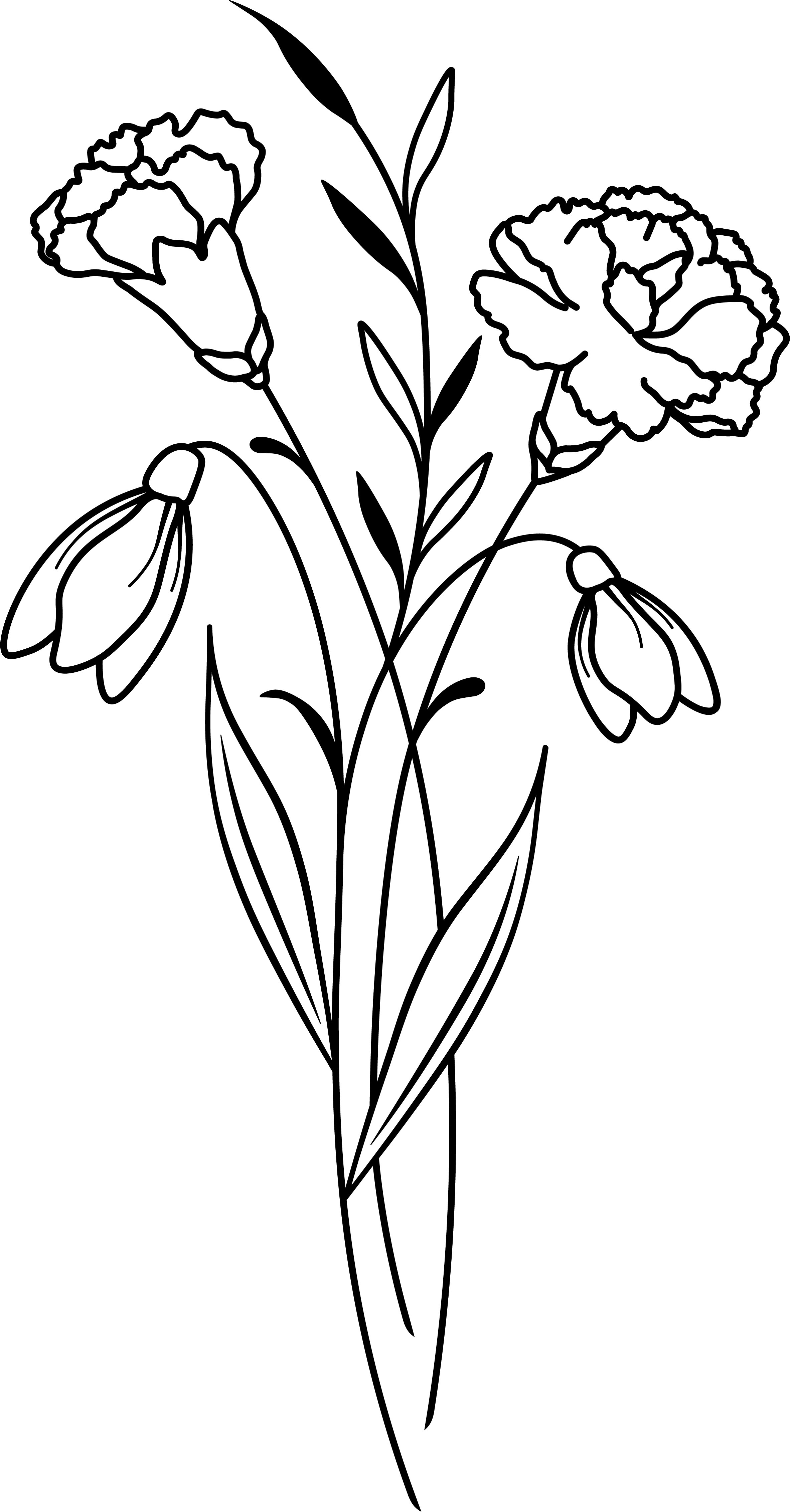 Birth Flower Collection