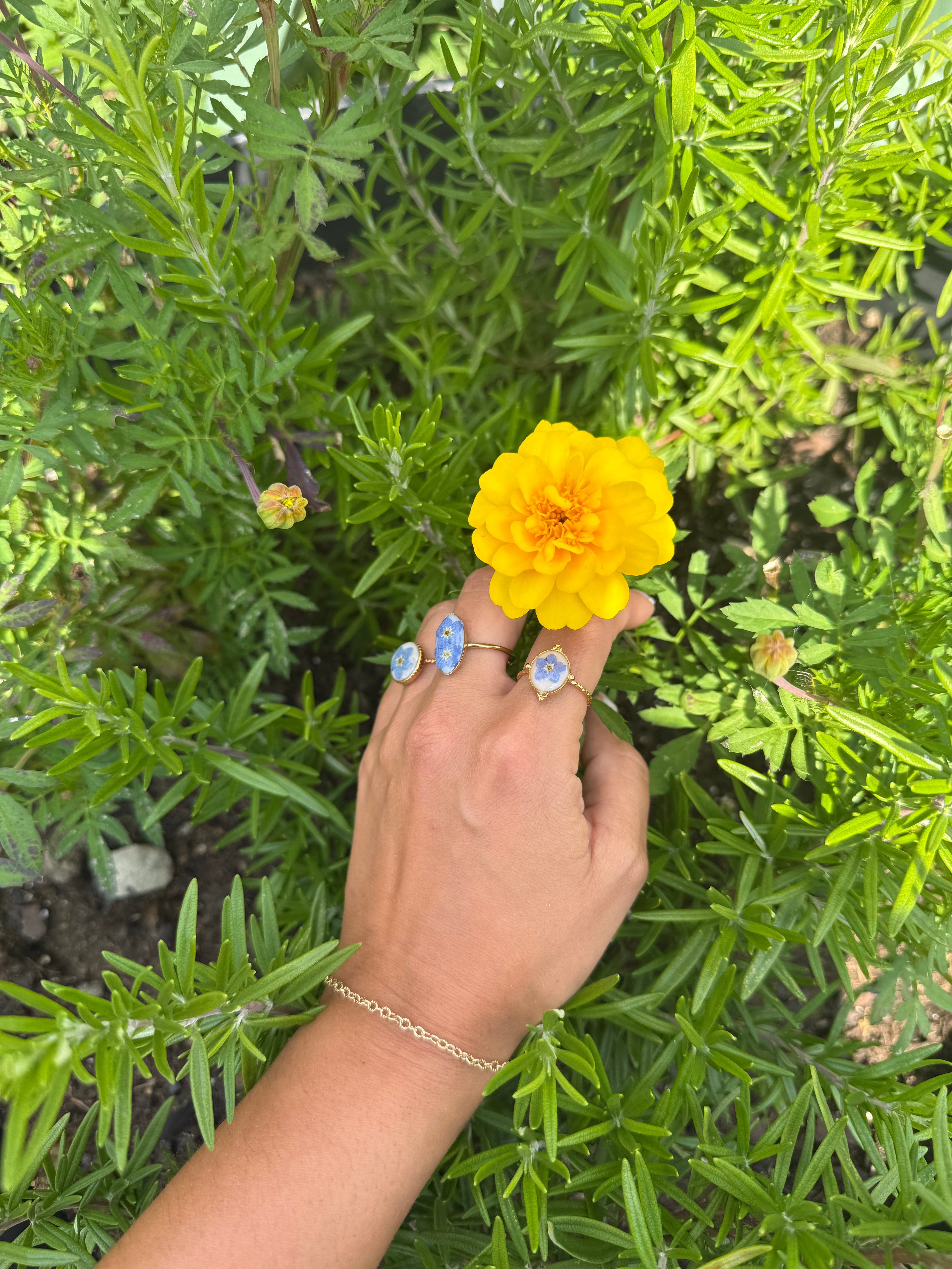 Adjustable Rings