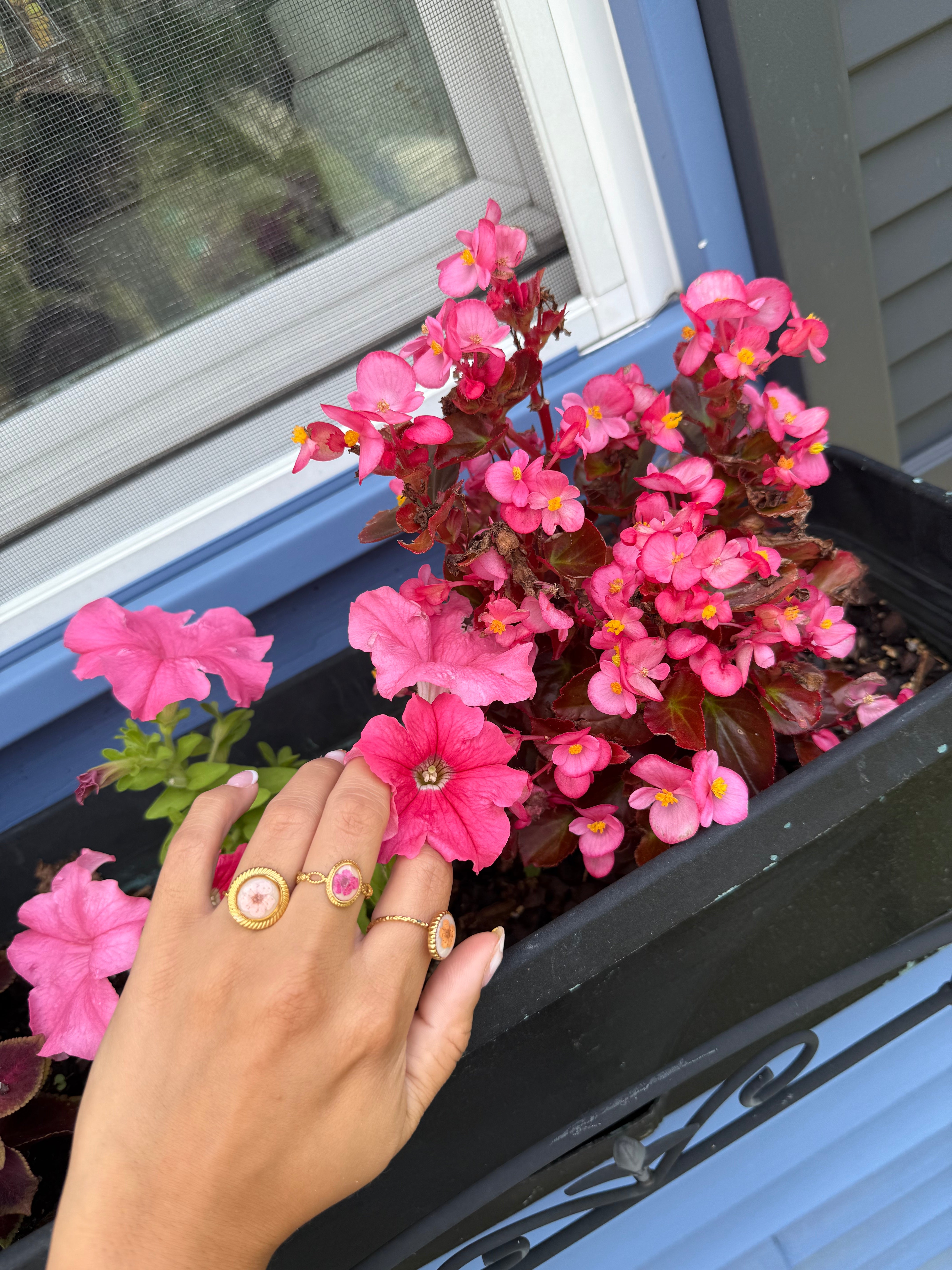 Adjustable Rings
